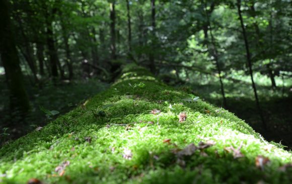 9th Annual Meeting of the Integrate Network