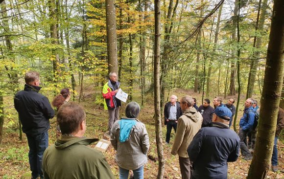 Why Integrative Forest Management requires integrative solutions