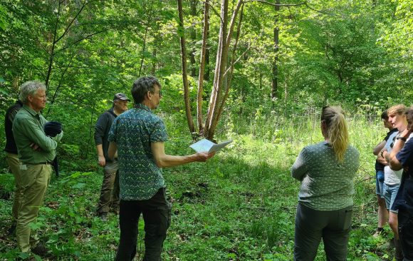 Five fact sheets about biodiversity measures in managed forests