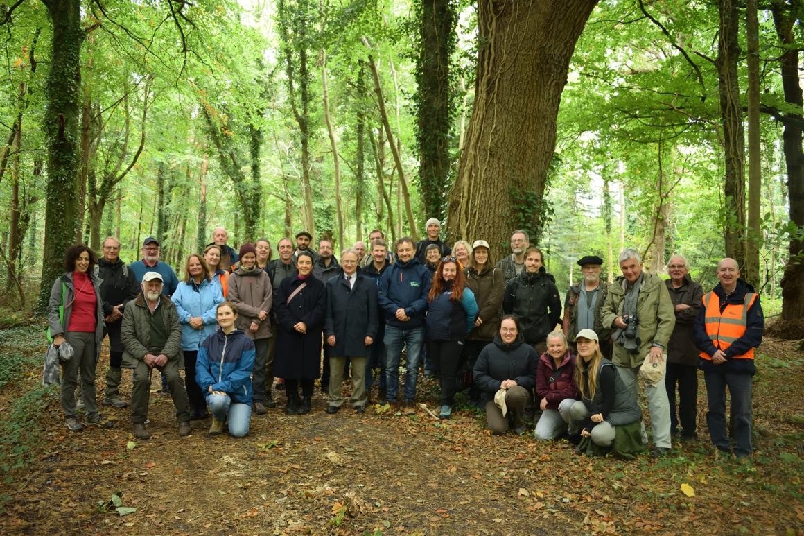 From Clear-Cutting to Continuity: 11th Integrate Network Annual Meeting