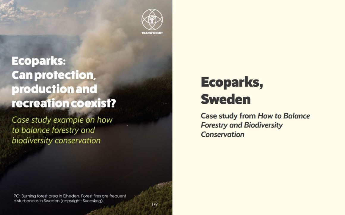 Ecoparks: Can protection, production and recreation coexist?  