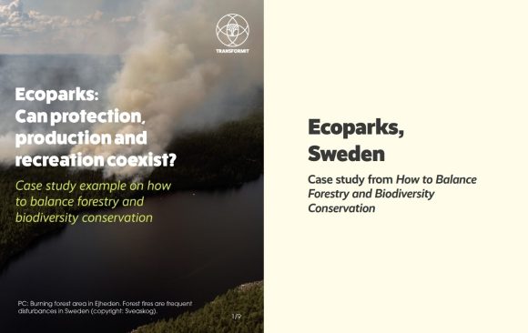 Ecoparks: Can protection, production and recreation coexist?  
