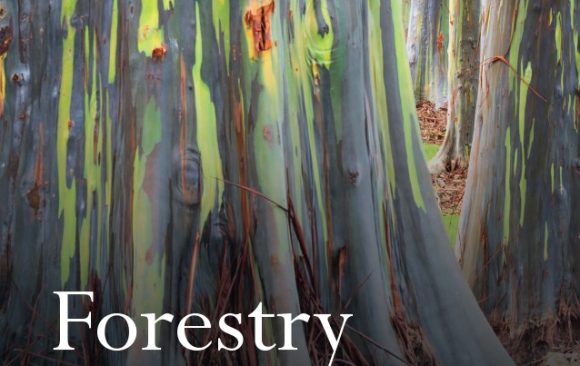 New Research Publication on Tree-related Microhabitat Diversity in an International Journal of Forest Research