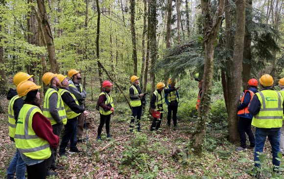 Outdoor Forest training is back: Join the two-day workshop in Ireland