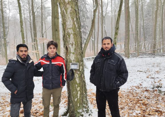 Monitoring Tree Growth with Dendrometers: A Hands-on Experience in Haselberg