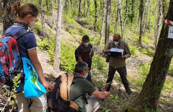 Using Marteloscopes to analyze public’s perceptions on forests