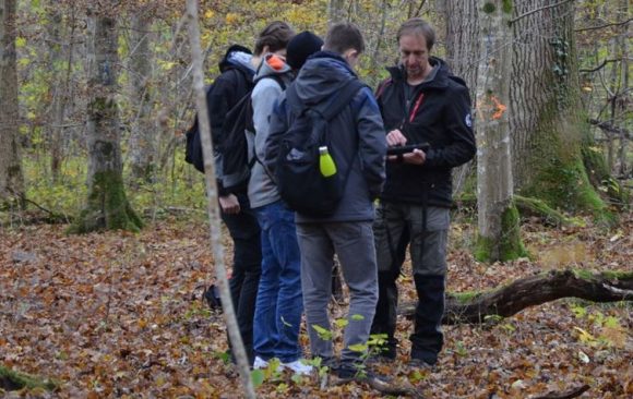 Interactive learning experience for students in the “Mooswald” Marteloscope in Freiburg