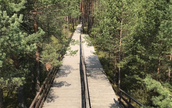 Integrate Network becomes Integrate Network Multi-Donor Trust Fund 