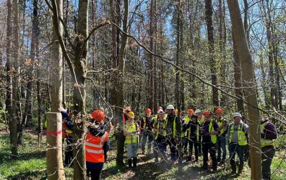 Teagasc Forestry Development Department (FDD) organises 6 “marteloscope” workshops in Oak Park forest