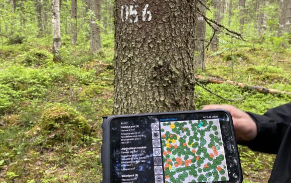 Managing forests virtually